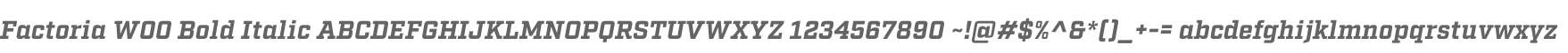 Factoria W00 Bold Italic