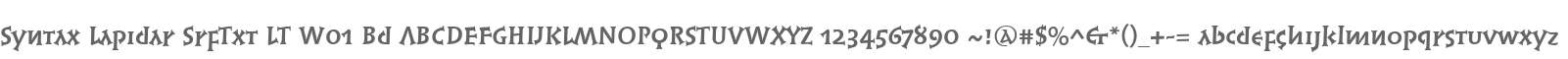 Syntax Lapidar SrfTxt LT W01 Bd