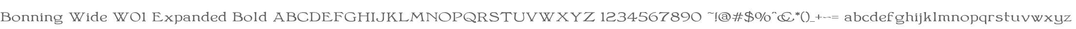 Bonning Wide W01 Expanded Bold