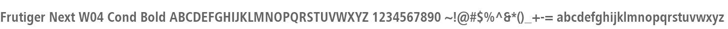 Frutiger Next W04 Cond Bold