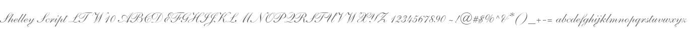 Shelley Script LT W10