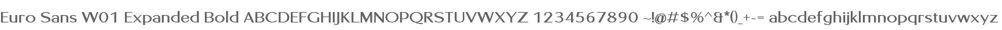 Euro Sans W01 Expanded Bold