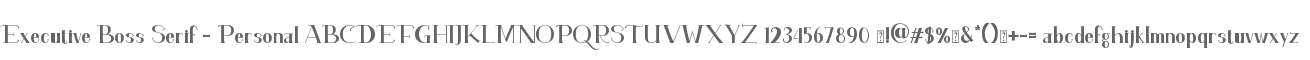 Executive Boss Serif - Personal