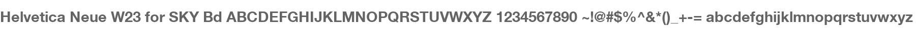 Helvetica Neue W23 for SKY Bd