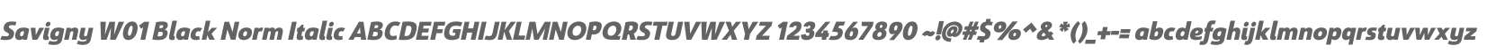 Savigny W01 Black Norm Italic