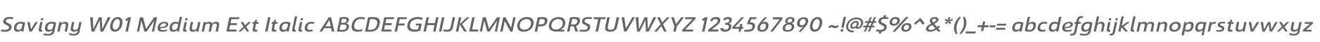 Savigny W01 Medium Ext Italic