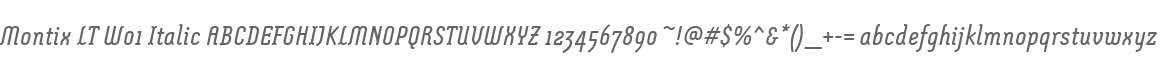 Montix LT W01 Italic