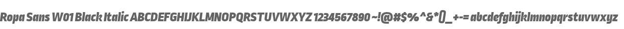 Ropa Sans W01 Black Italic