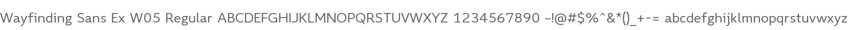 Wayfinding Sans Ex
