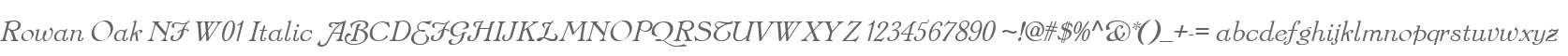 Rowan Oak NF W01 Italic