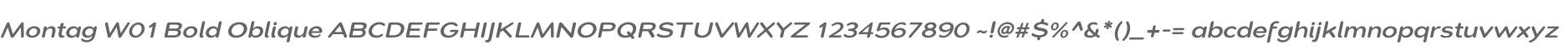 Montag W01 Bold Oblique