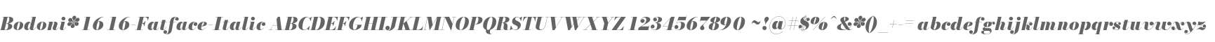Bodoni* 16 Fatface Italic