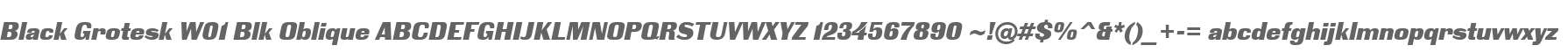 Black Grotesk W01 Blk Oblique
