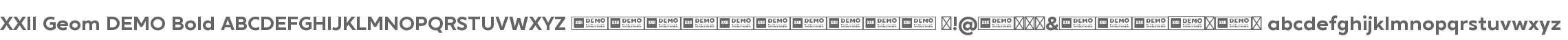 XXII Geom DEMO Bold