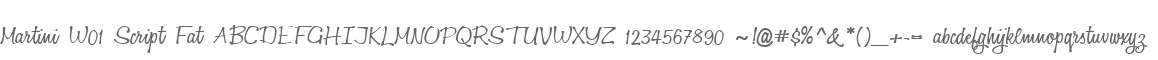 Martini W01 Script Fat