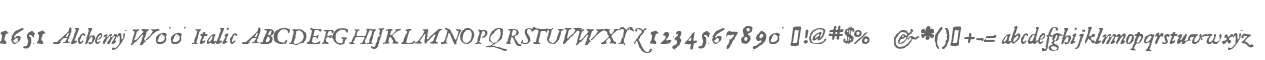 1651 Alchemy W00 Italic