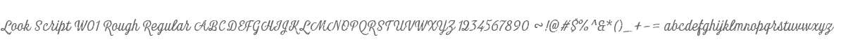 Look Script W01 Rough Regular