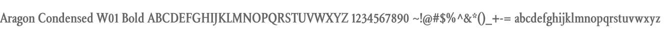 Aragon Condensed W01 Bold