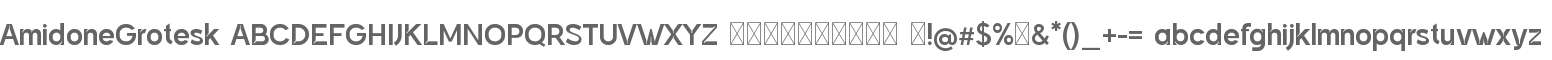 AmidoneGrotesk