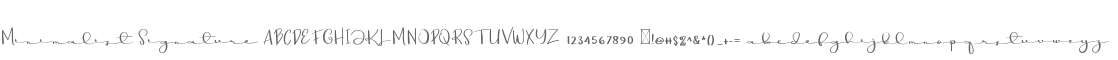 Minimalist Signature
