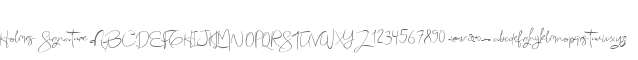 Holmes Signature