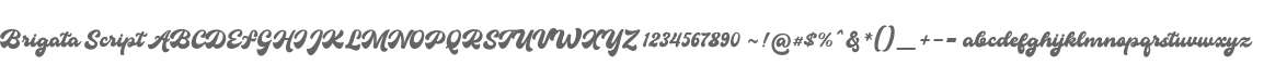 Brigata Script