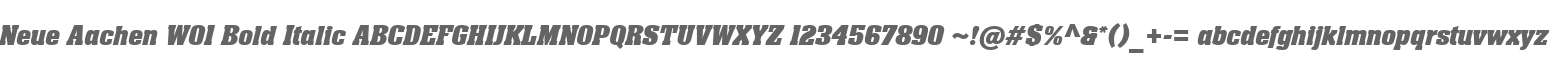 Neue Aachen W01 Bold Italic