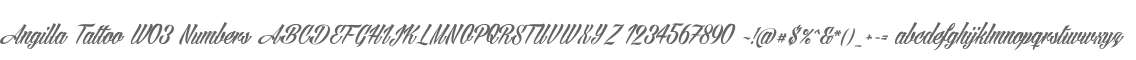 Angilla Tattoo W03 Numbers