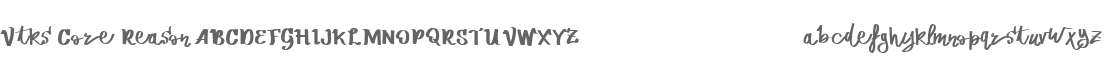 Vtks Core Reason