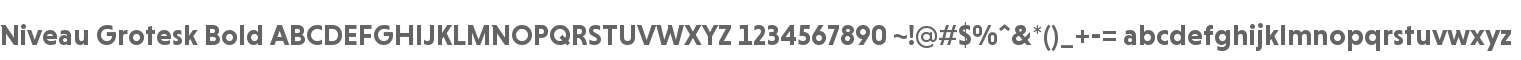 Niveau Grotesk Bold