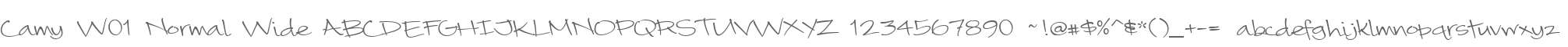 Camy W01 Normal Wide