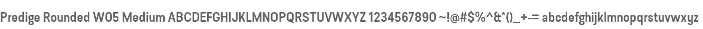 Predige Rounded W05 Medium