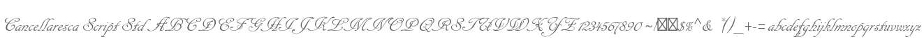 Cancellaresca Script Std