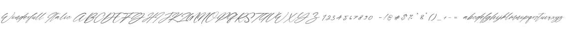 Wonderfull Italic