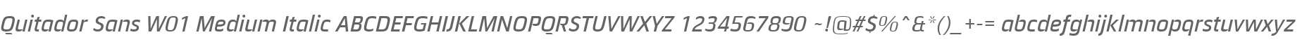 Quitador Sans W01 Medium Italic