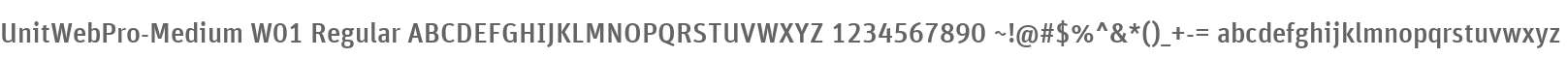UnitWebPro-Medium W01 Regular