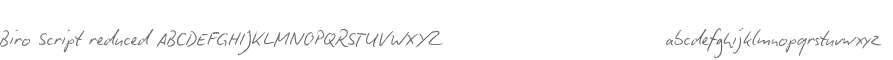 Biro Script reduced