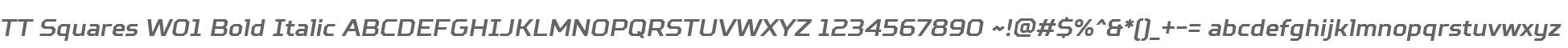 TT Squares W01 Bold Italic