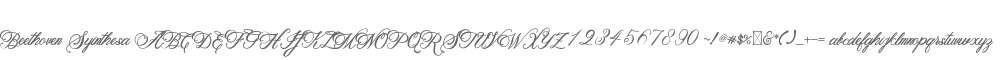 Beethoven Syinthesa
