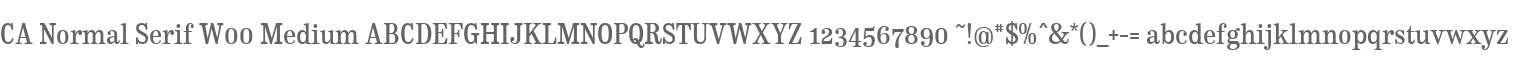 CA Normal Serif W00 Medium