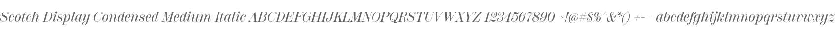 Scotch Display Cond Md It