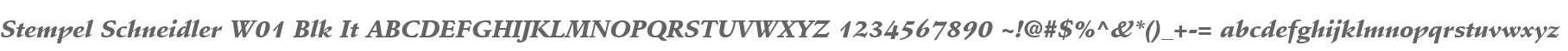 Stempel Schneidler W01 Blk It