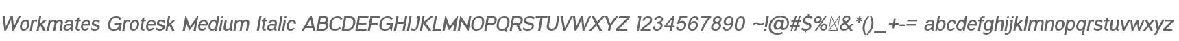 Workmates Grotesk Med