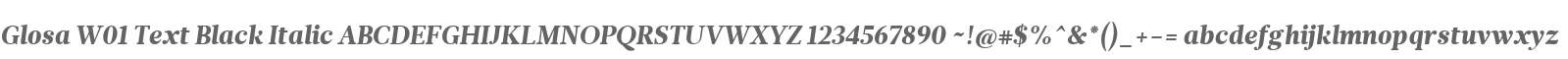 Glosa W01 Text Black Italic