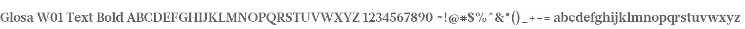Glosa W01 Text Bold
