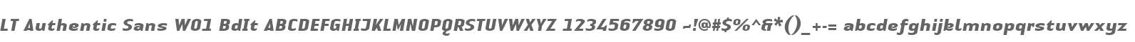 LT Authentic Sans W01 BdIt