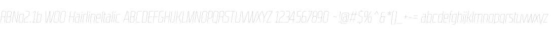 RBNo2.1b W00 HairlineItalic
