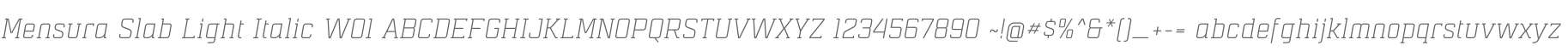 Mensura Slab Light Italic W01