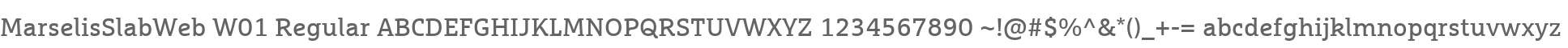 MarselisSlabWeb W01 Regular