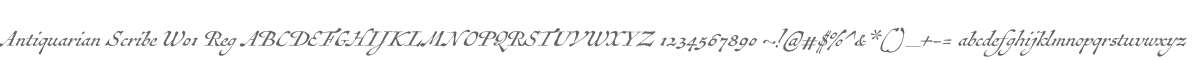 Antiquarian Scribe W01 Reg
